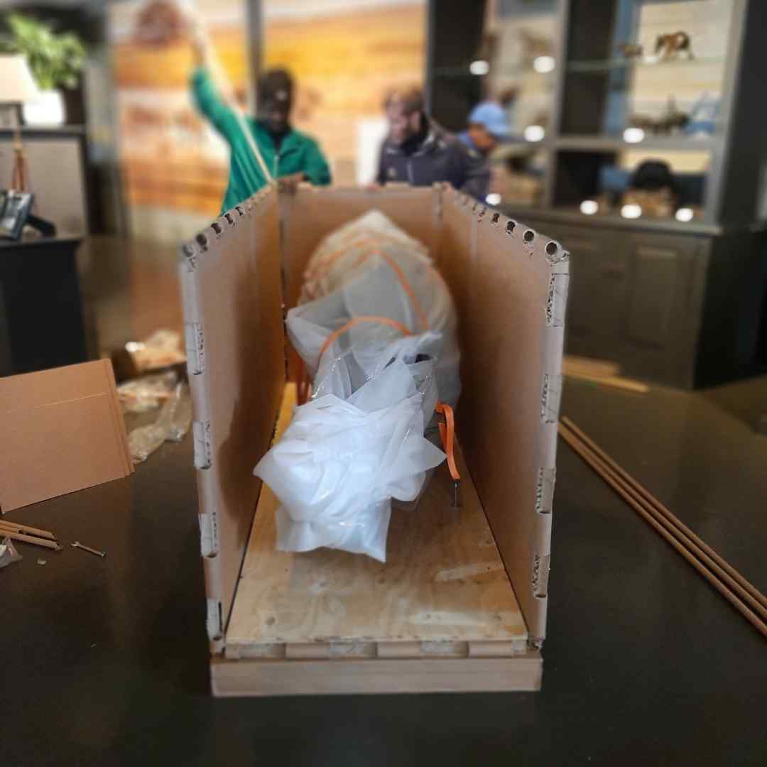 Art sculpture packed in a custom art packaging crate