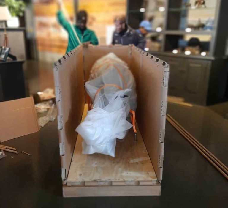 Hybrid industrial packaging combining honeycomb materials and timber support for fragile equipment
